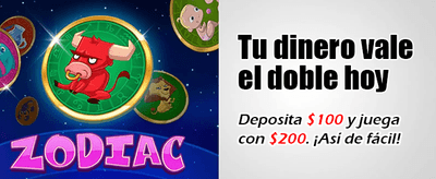 Real Casino Experience